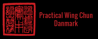 kampsport klasser k benhavn Practical Wing Chun Danmark