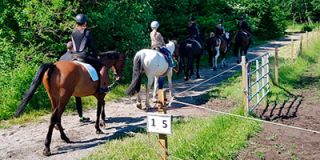 ridning i n rheden k benhavn Glostrup Rideklub