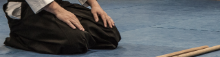 judo klasser k benhavn Frederiksberg Aikido Klub