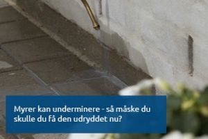 skadedyrskontrol k benhavn Skadedyrseksperten